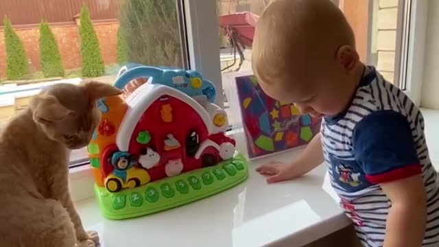 Baby and Cat Fun and Cute - Funny Baby Video