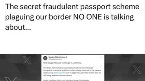 The secret fraudulent passport scheme plaguing our border NO ONE is talking about...