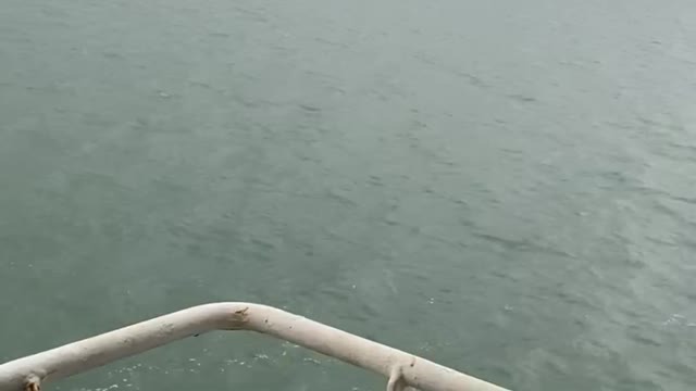 Korea sea video on ship