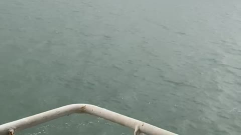 Korea sea video on ship