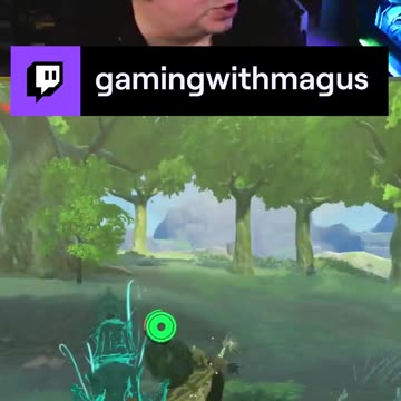 If I do you, we have problems!| Legend of Zelda: Tears of the Kingdom | game play | episode 55