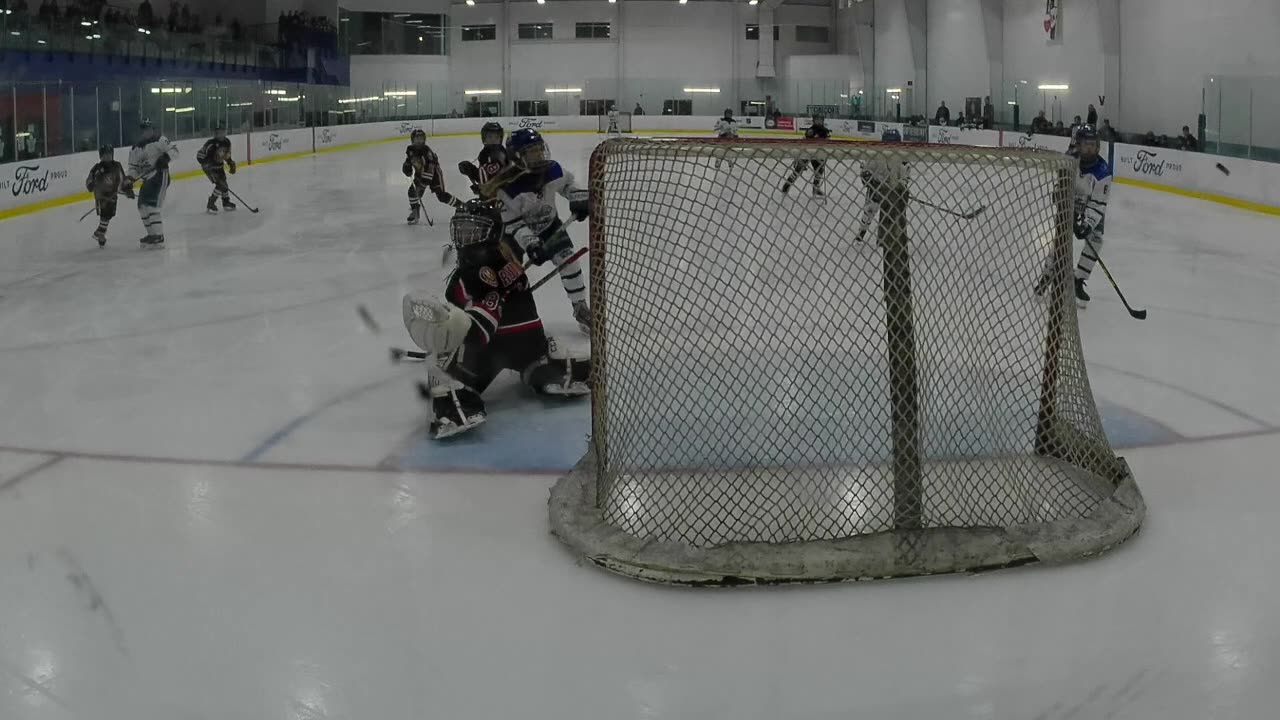U11A Hornets vs Etobicoke Dolphins