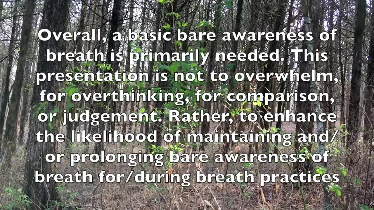 Breath: Questions for Contemplation; Perceptions and Practice Ideas