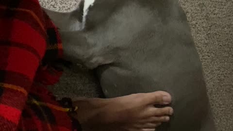 Foot rub