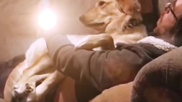 'My dad launching a nuclear missile on my dog'
