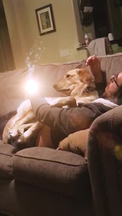 'My dad launching a nuclear missile on my dog'