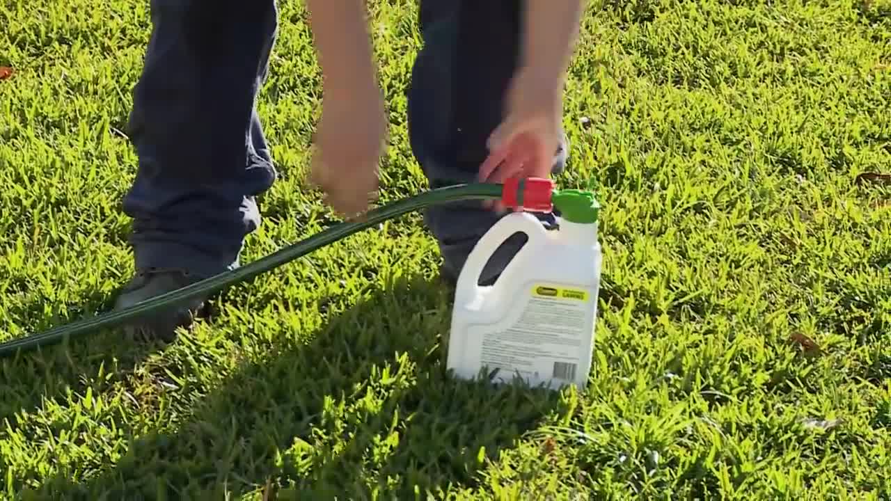 How To Fertilise Your Lawn - DIY At Bunnings