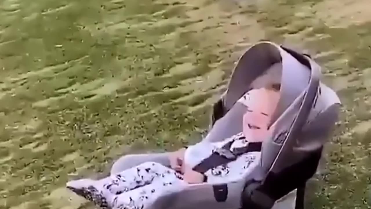 Watch The Video Till The End 😂😂😂