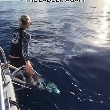 You could come dive with us ? 😱😱😱