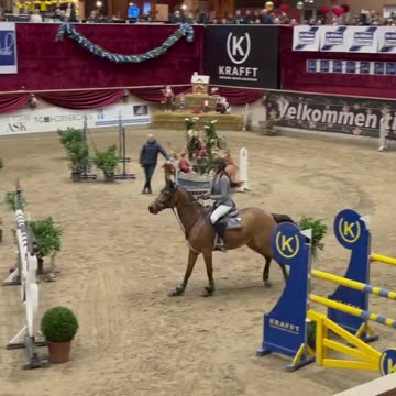 Horse of rumble. Hardwork.Training.Horselife