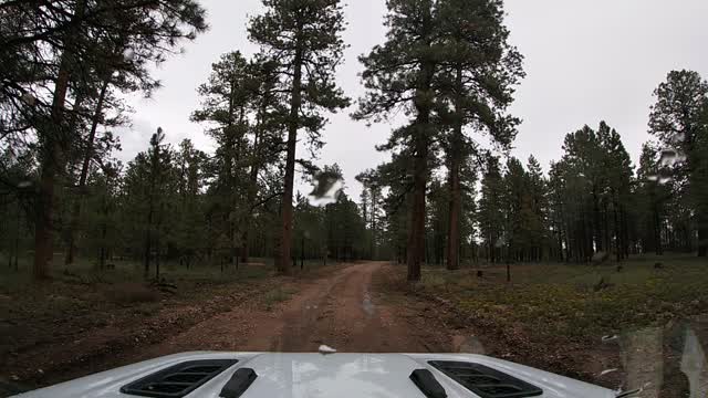 Exploring The Great Western Trail after the Thunder Storm July 23, 2021