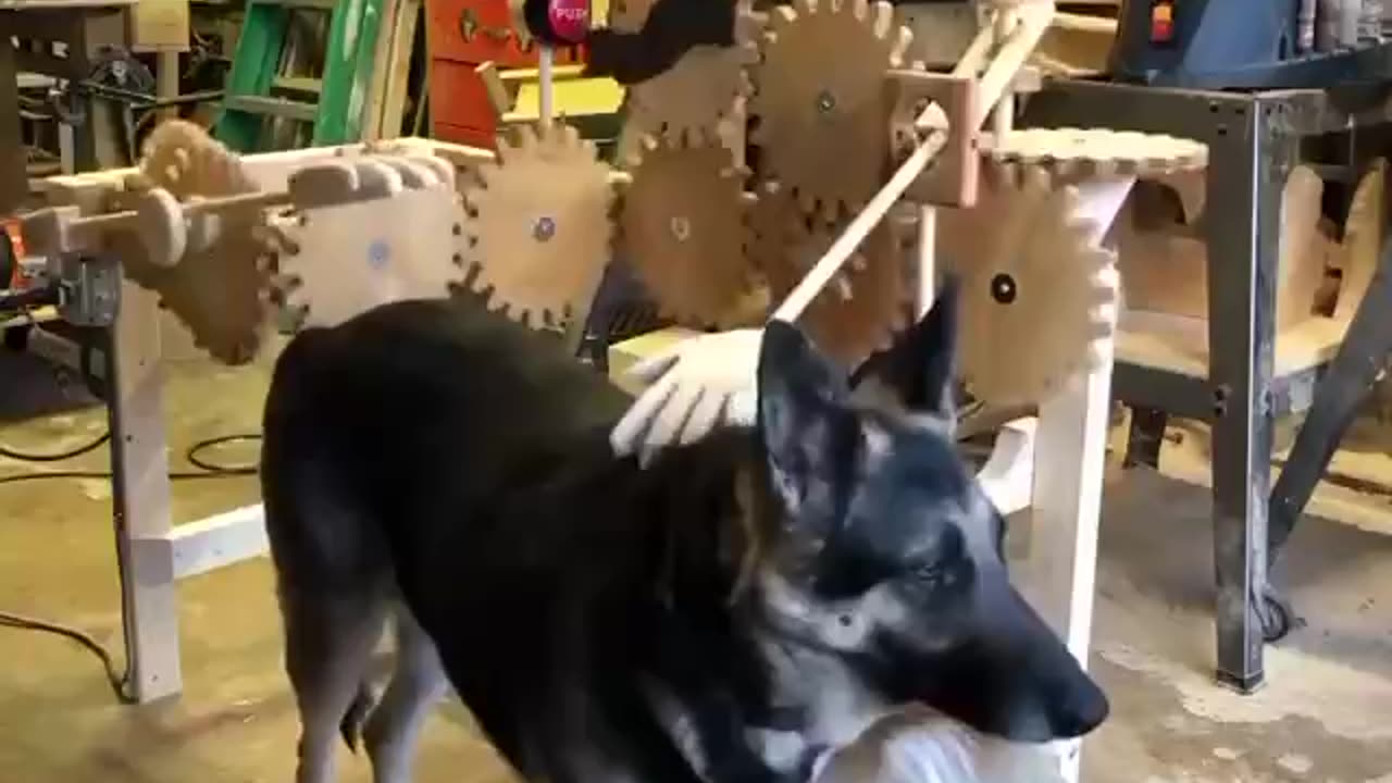 A ENGINEER CAME UP WITH A WOODEN DEVICE FOR HIS PET SO IT WOULD NOT BE SAD WHEN THE OWNER WASN’T HOME