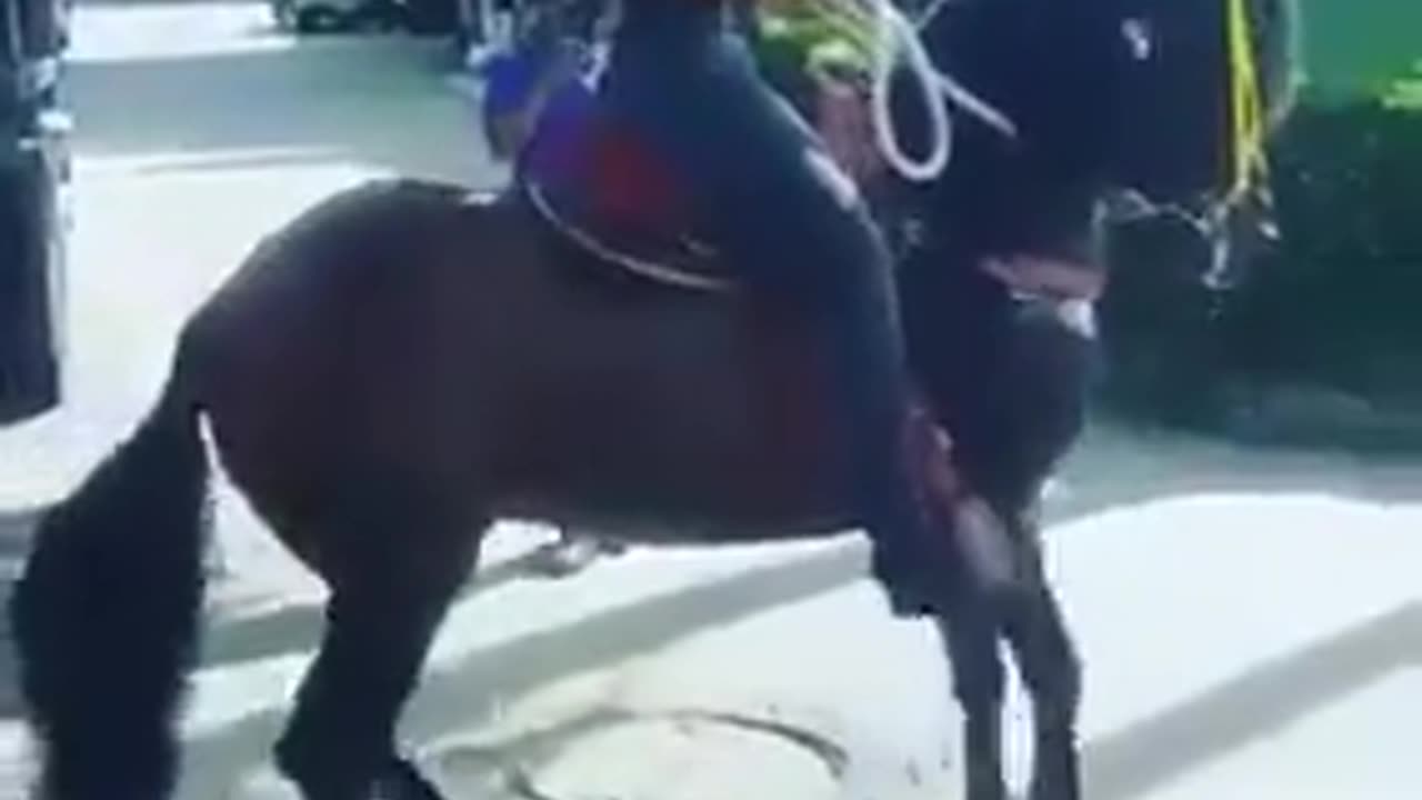 UNREAL HORSE DANCING