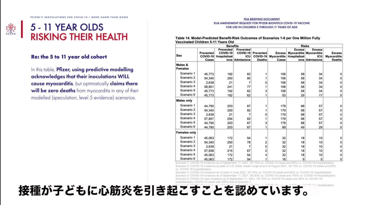 [日本語字幕]The Pfizer Inoculations Do More Harm Than Good