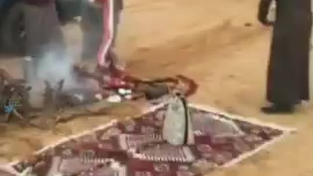 Funny Slide. Desert
