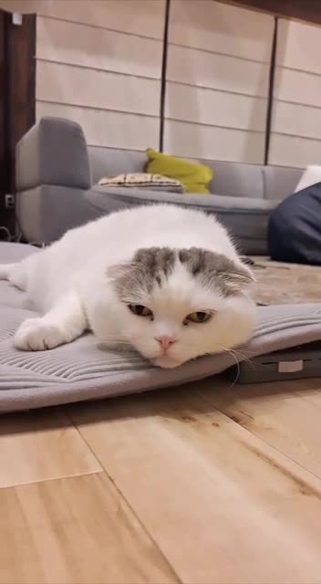 Me after uploading all the videos for you to enjoy