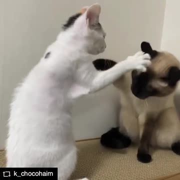 Pode não parecer mas somos muito amigos