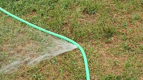 Sprinkler System in a Santiago Park 🌱💧🇨🇱