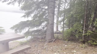 Forest Hiking the Shoreline of Timothy Lake – Mount Hood – Oregon – 4K
