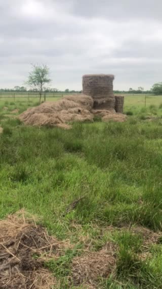 A game of Hiding Go Seek