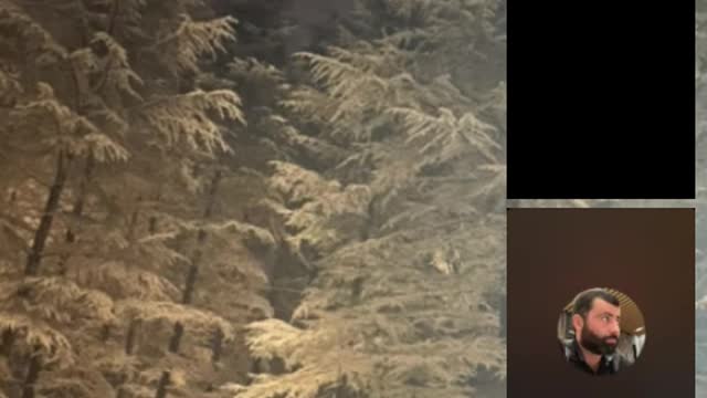 Грузинский стрим блогера - 27.01.2022