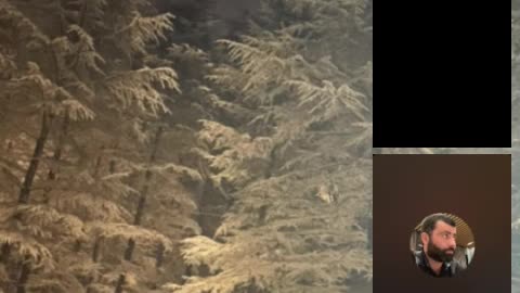 Грузинский стрим блогера - 27.01.2022