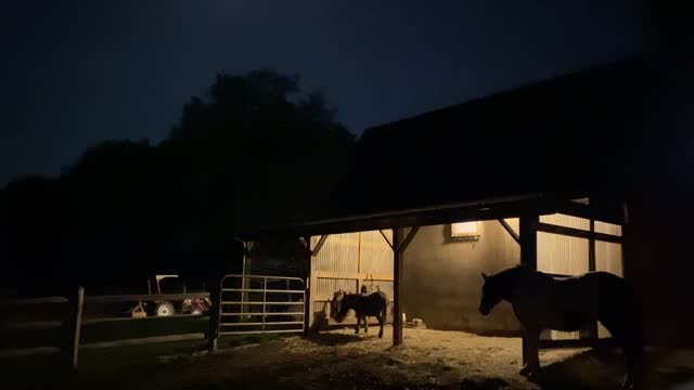 Night time outside the barn