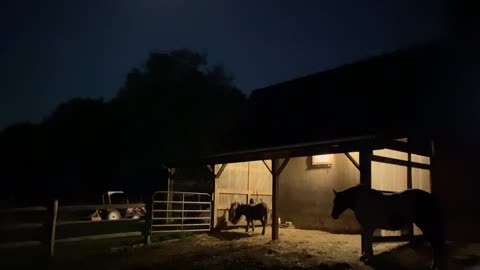 Night time outside the barn