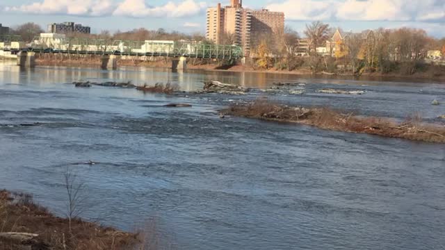 Delaware Rive looking at NJ