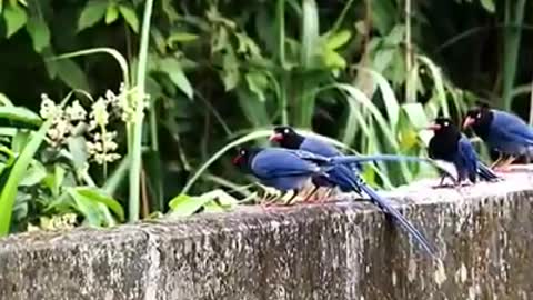 Time with God - May 20