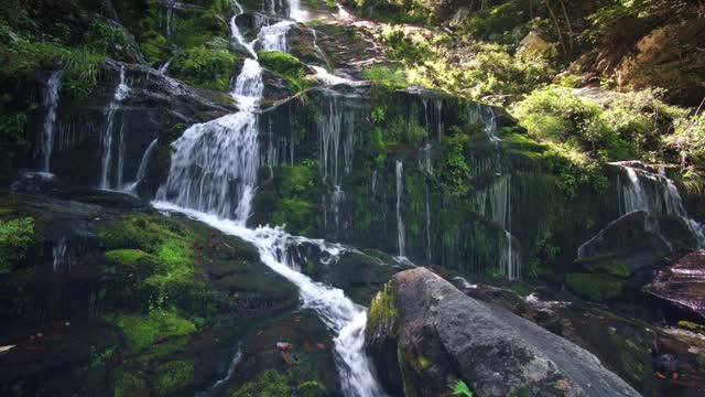 CACHOEIRA 2021