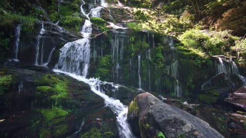 CACHOEIRA 2021