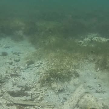 Snorkeling Bliss at Laguindingan’s Healing Reef