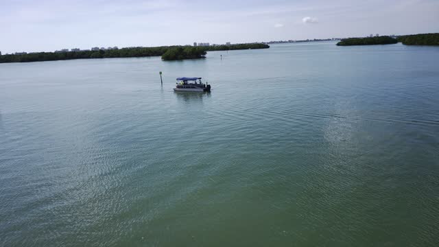 Dolphins at Lover's Key State Park, Florida