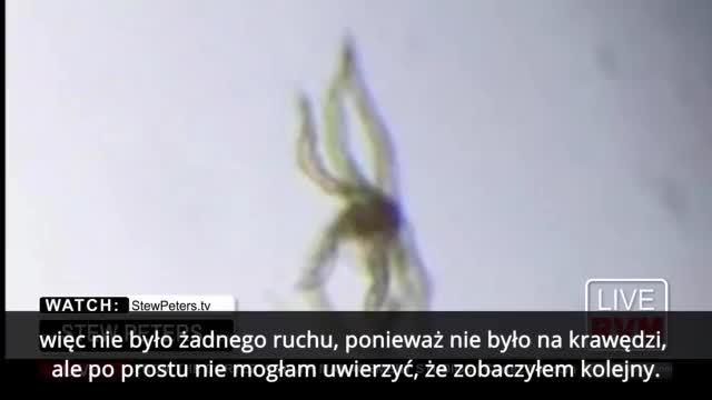"To nie powinno być wstrzykiwane ludziom" Szokujące odkrycie dr Carrie Madej