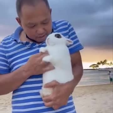 My little bunny played dead!