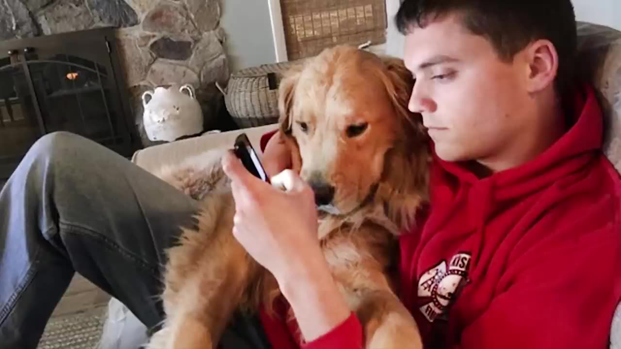 When you're testing my patience 🤣 Funny Dog and Human