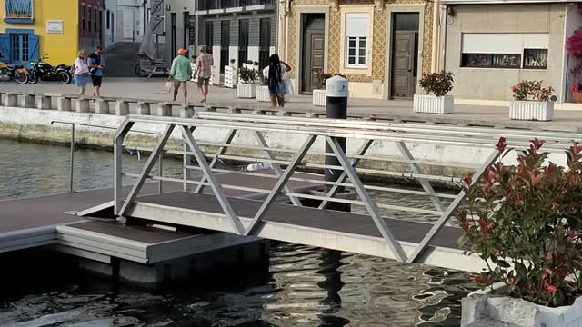 A Relaxing walk in Aveiro, Portugal