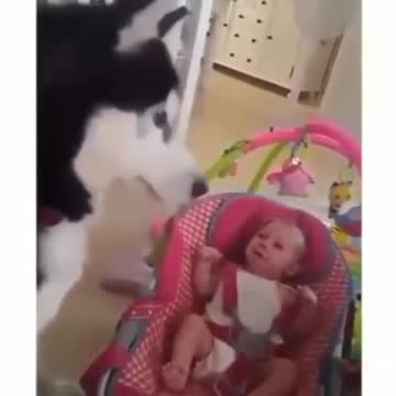 Bunch makes baby stop crying.