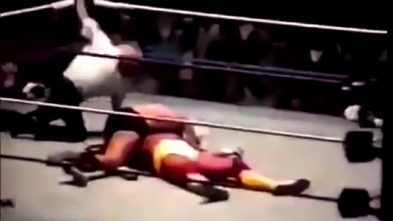 Hogan vs Flair WWF 1991