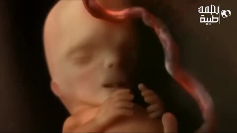 How does a man have intercourse with his wife?