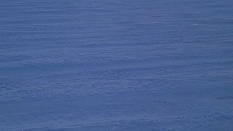 Walking on frozen lake Simcoe