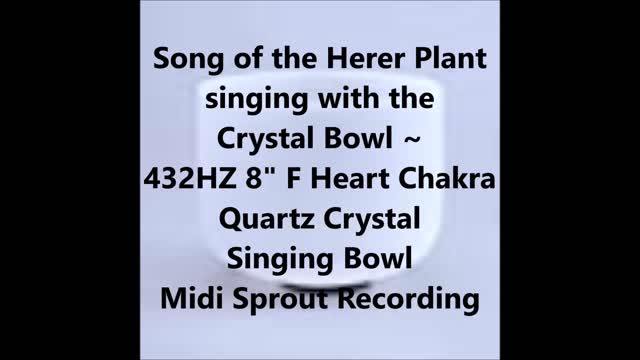 Song of the Herer Plant sing with a Quartz Crystal Singing Bowl 432HZ