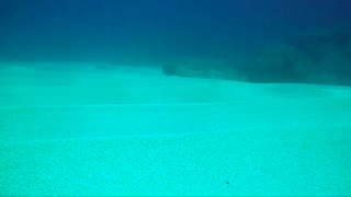 North Shore Sandy Bottoms!