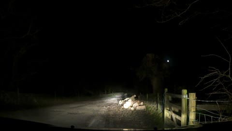 Time to put my gear from the car to the tent after night drive. GoPro