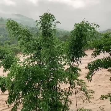 Natural disaster 🌊🌨