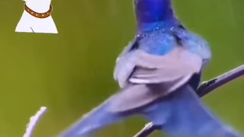 😯