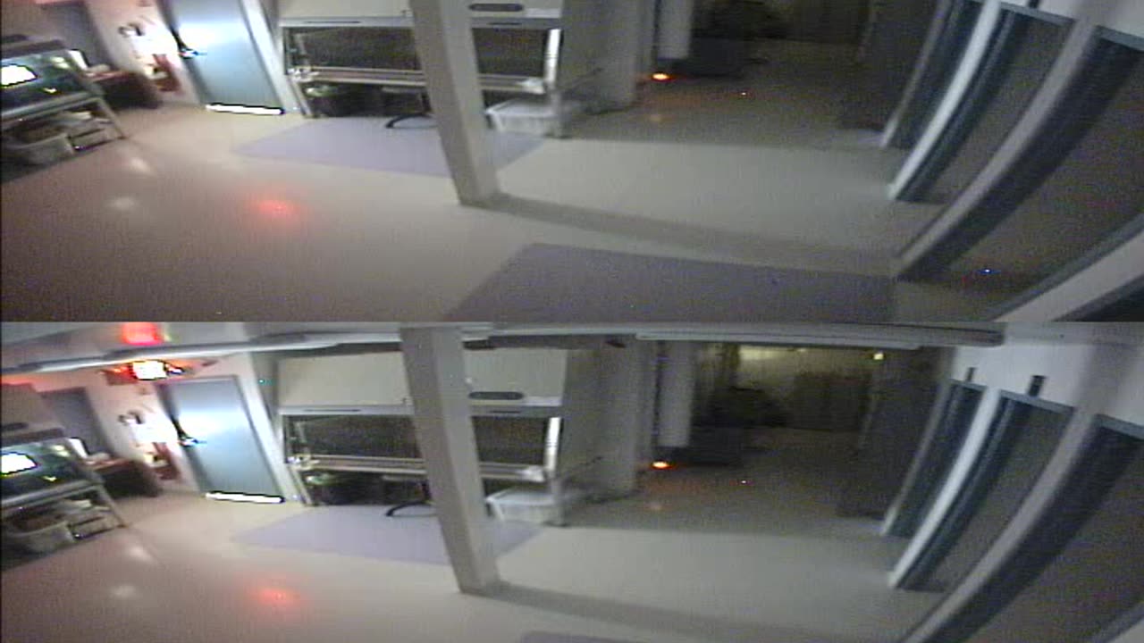 1702CRIB01CribAnalysisArea_2021-01-05_16h45min07s967ms.mp4