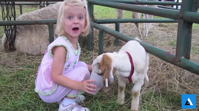 TRY NOT TO LAUGH IMPOSSIBLE | Funny Babies At The Zoo - LAUGH A LOT