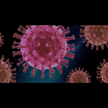 逾3成新冠染疫者 出現「長期」症狀